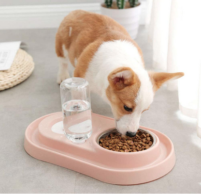 Edelstahl-Haustiernäpfe mit automatischer Wasserflasche