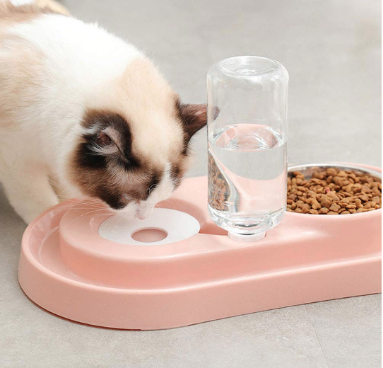 Edelstahl-Haustiernäpfe mit automatischer Wasserflasche
