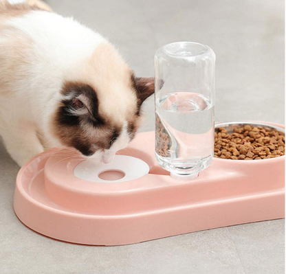 Edelstahl-Haustiernäpfe mit automatischer Wasserflasche
